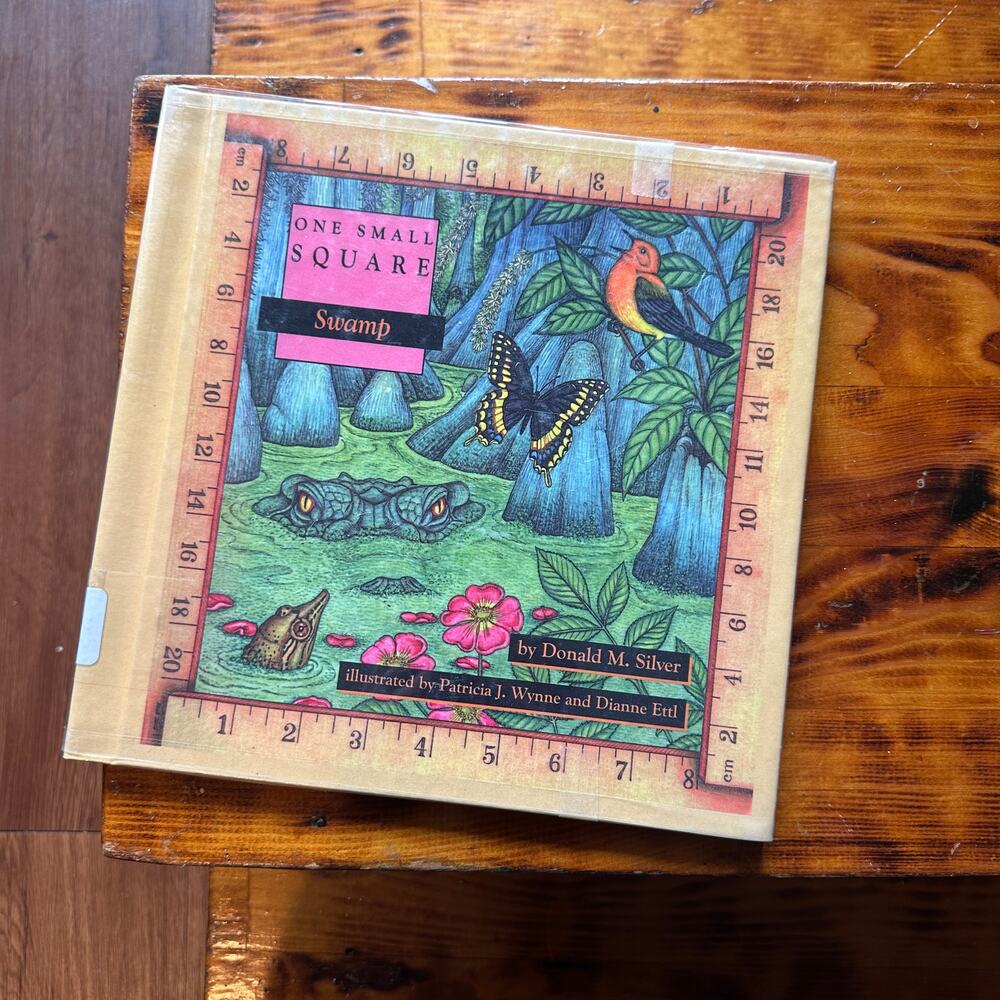 Vintage 1997 One Small Square Swamp Hardcover Book